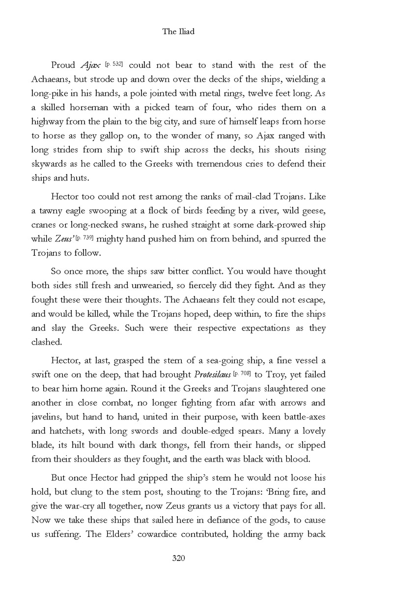 The Iliad - Page 314